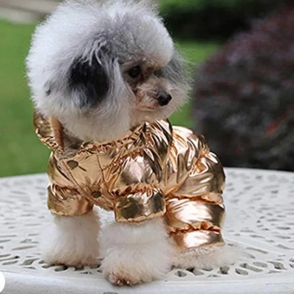 Chic Dog Rose Gold colored waterproof 4 legged puffy winter coat M - Picture 3 of 7